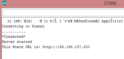 Server avviato. Appena aprite il monitor seriale sull'ESP8266 capita di vedere dei caratteri apparentemente a caso all'inizio